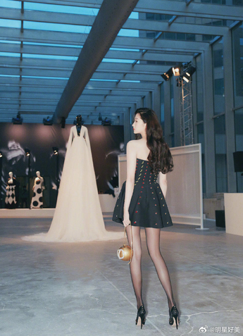 女秘书的秘密深度解析